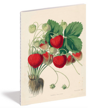 Load image into Gallery viewer, Kitchen Delight Notebook