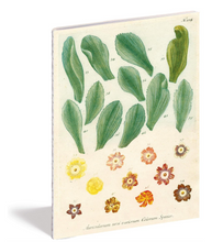 Load image into Gallery viewer, Kitchen Delight Notebook