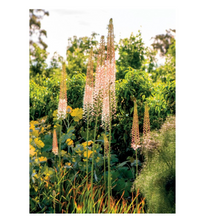 Load image into Gallery viewer, Paul Bangay A Life In Garden Design