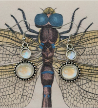 Load image into Gallery viewer, Moonstone Drop