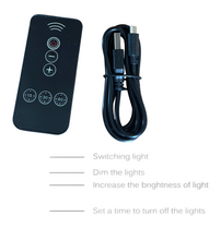 Load image into Gallery viewer, Bamboo Cane Lamp