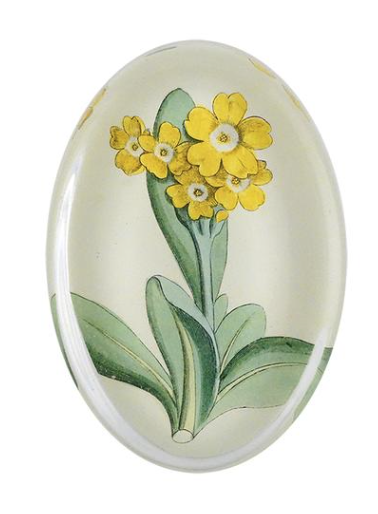 Auricula - Oval Paperweight