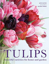 Load image into Gallery viewer, Tulips