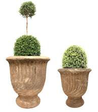 Load image into Gallery viewer, Charlotte Urn Medium