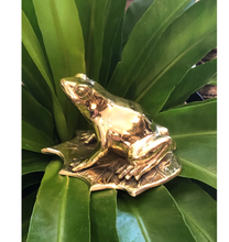 Load image into Gallery viewer, Bronze Frog on leaf