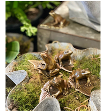 Load image into Gallery viewer, Brass Frog Small