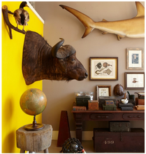 Load image into Gallery viewer, Kabinett & Kammer