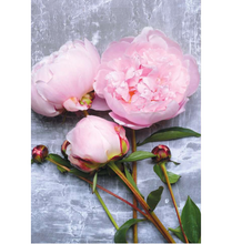 Load image into Gallery viewer, Peonies
