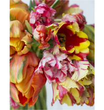Load image into Gallery viewer, Tulips