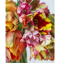 Load image into Gallery viewer, Tulips
