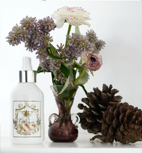 Load image into Gallery viewer, Room Spray Incenso Del Sud