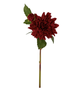 Dahlia Flower Red