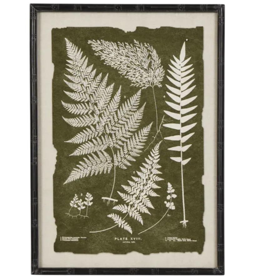 Fern Art A