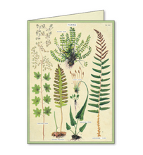 Load image into Gallery viewer, Notecards Set Fern
