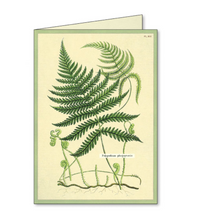 Load image into Gallery viewer, Notecards Set Fern
