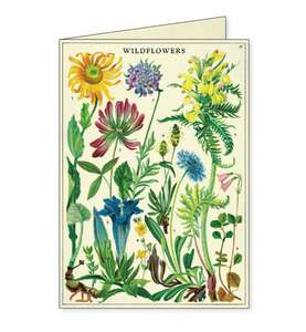Notecards Set Wildflowers