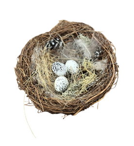 Bird Nest 15cm