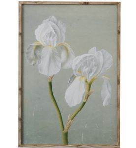 White Iris Bamboo Frame