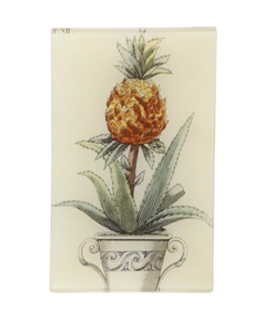 Pineapple in a Pot - Tray 5 x 8"