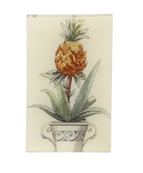 Pineapple in a Pot - Tray 5 x 8
