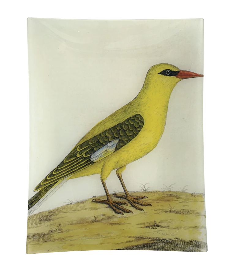 Bengali Yellow Bird Tray 11