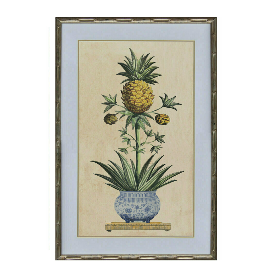 Pineapple I