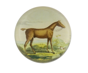 Brown Horse - Paperweight