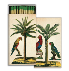 Matches Palm Parrot