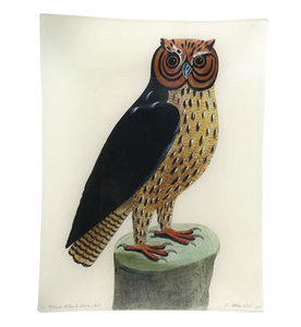 Horn Owl 11" X 14"