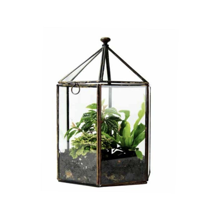 Glass House Hexagonal