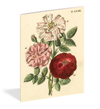 Load image into Gallery viewer, Everything Roses Notebook
