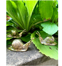 Load image into Gallery viewer, Brass Snail

