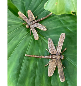 Dragonfly Large