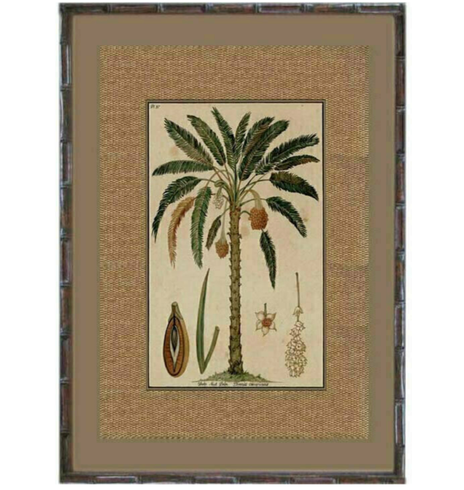 Date Palm - Bamboo Frame