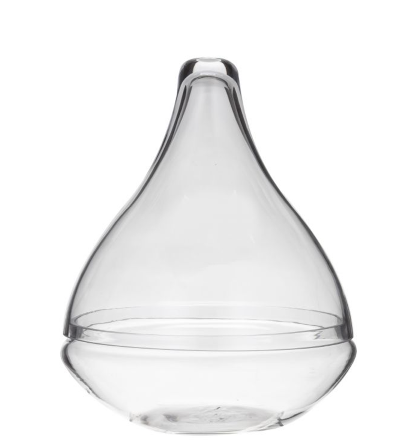 Terrarium Glass Short