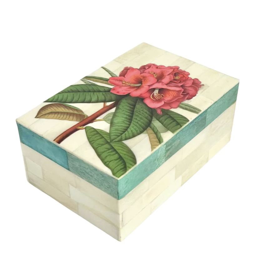 Paradiso Box Rhododendron
