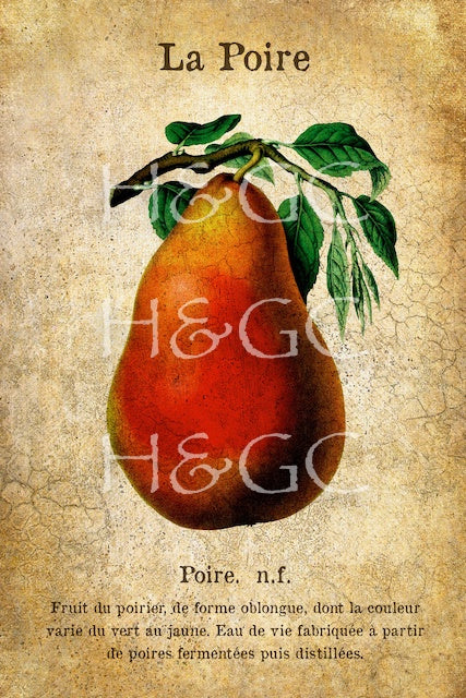 Pear I