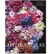 Load image into Gallery viewer, Hydrangeas
