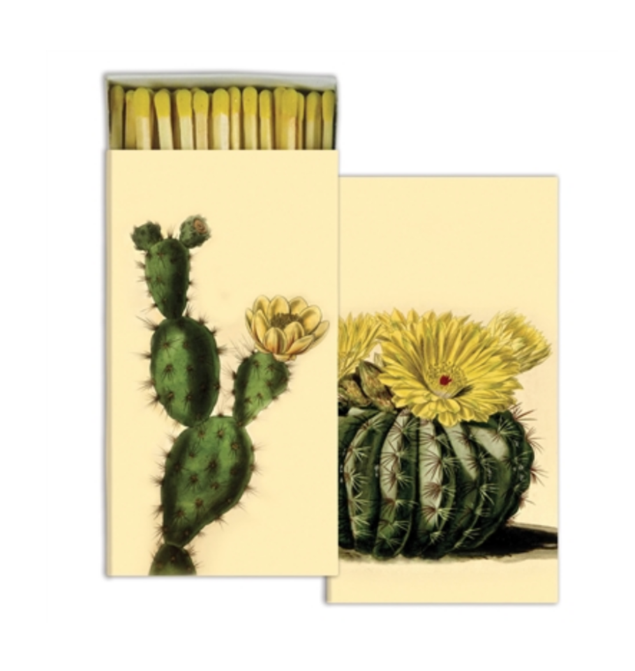 Matches Cacti Yellow
